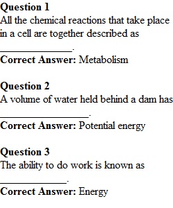 Week 6 Review Quiz